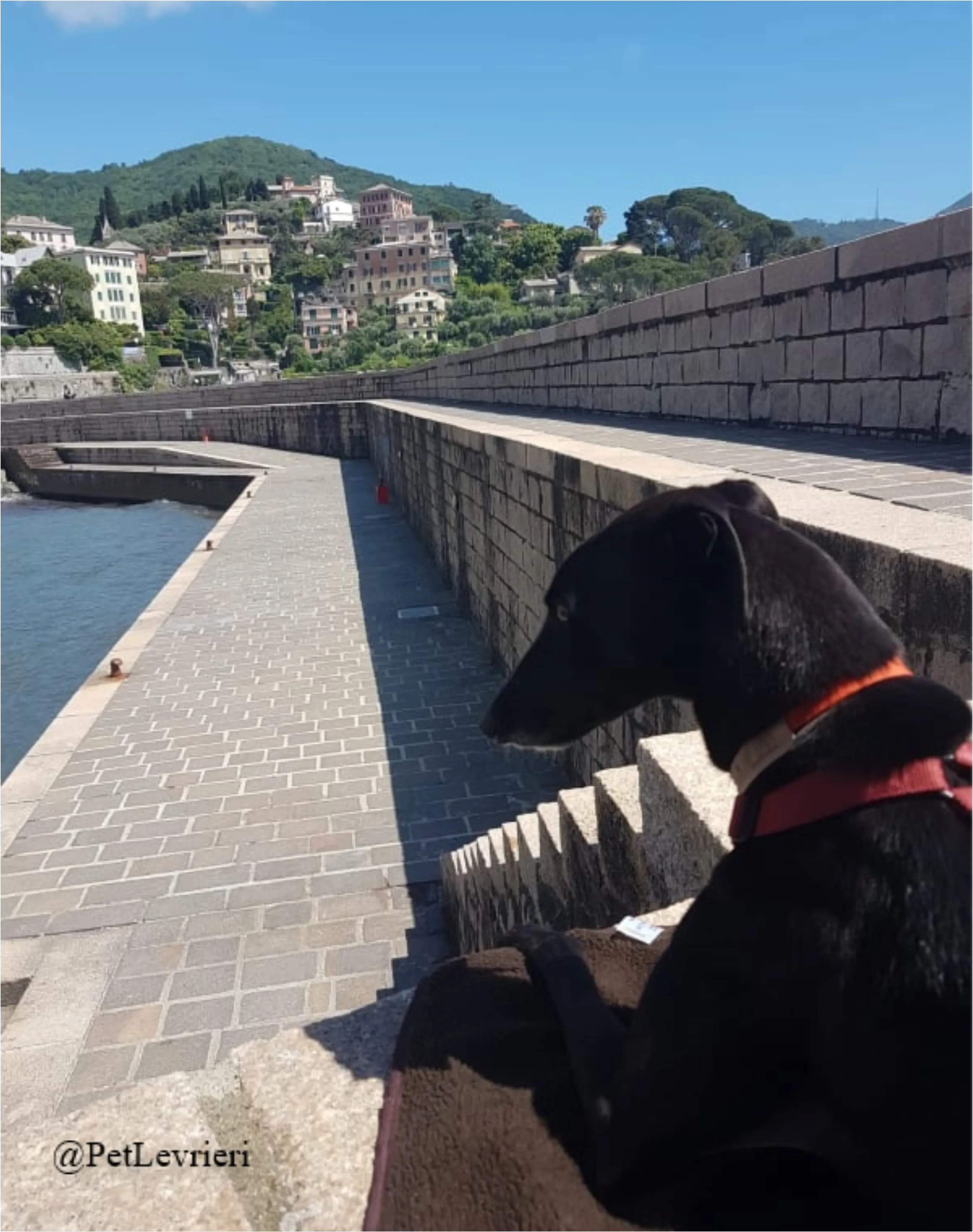 ANNA5New Phototastic Collage