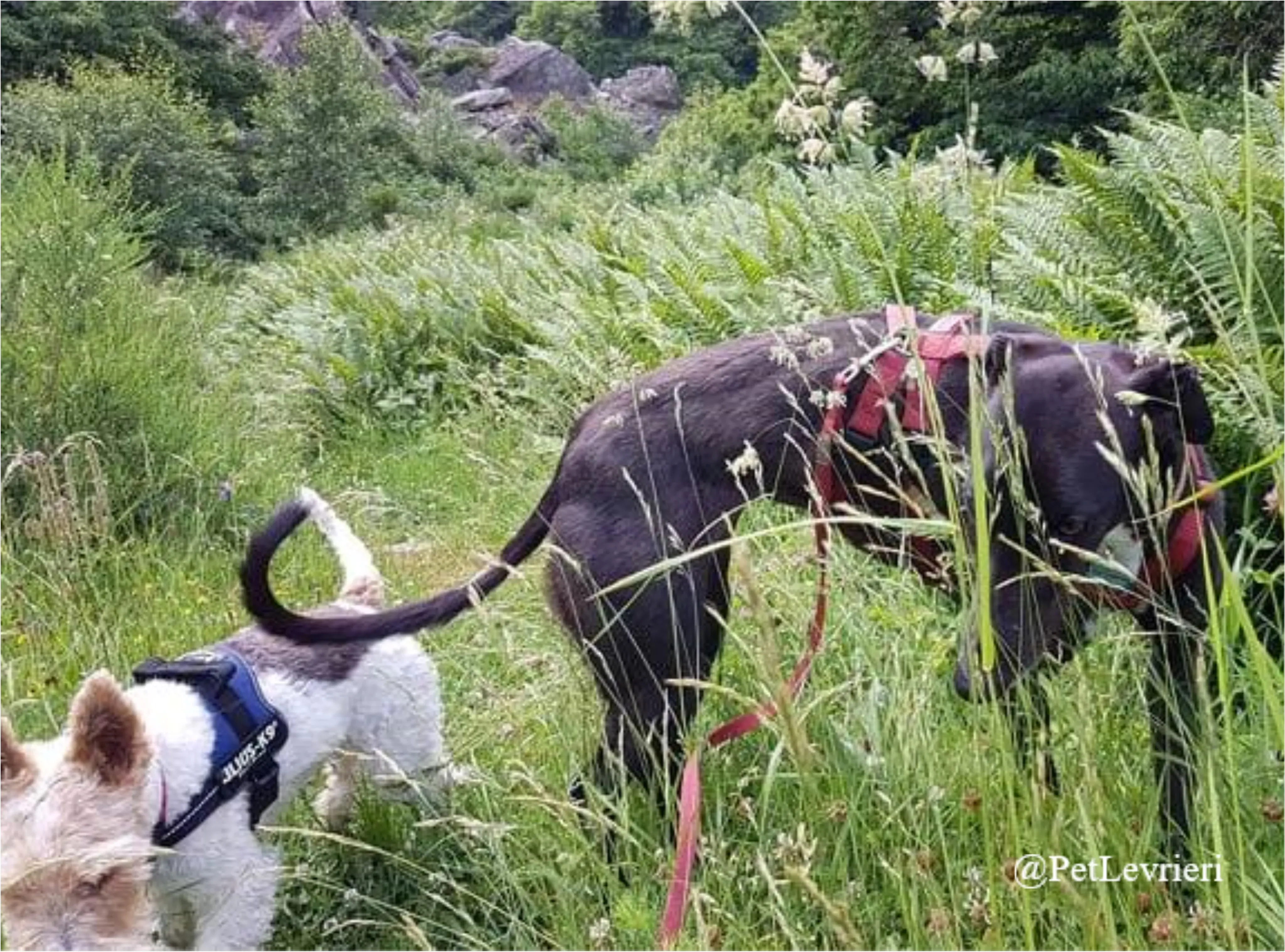 ANNA6New Phototastic Collage