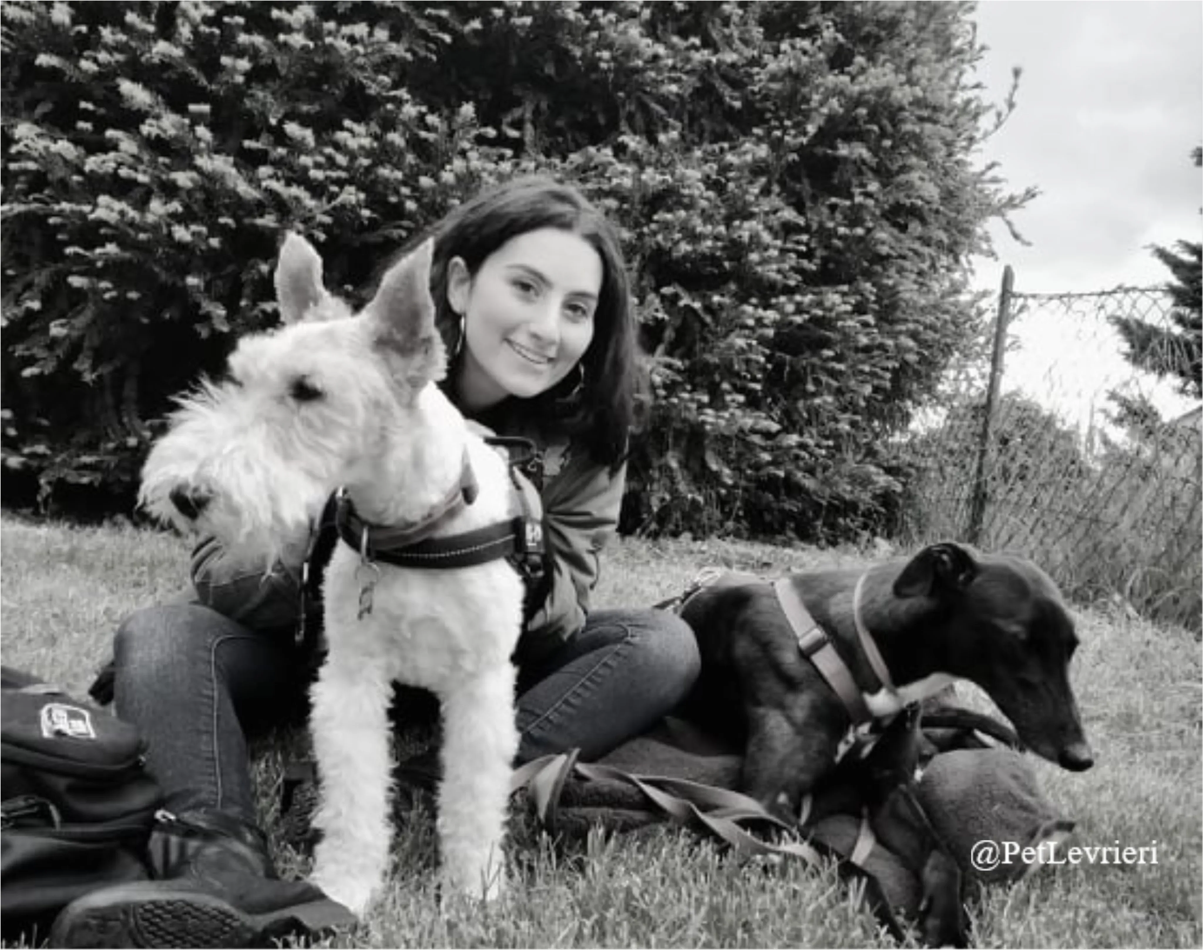 ANNA9New Phototastic Collage 1