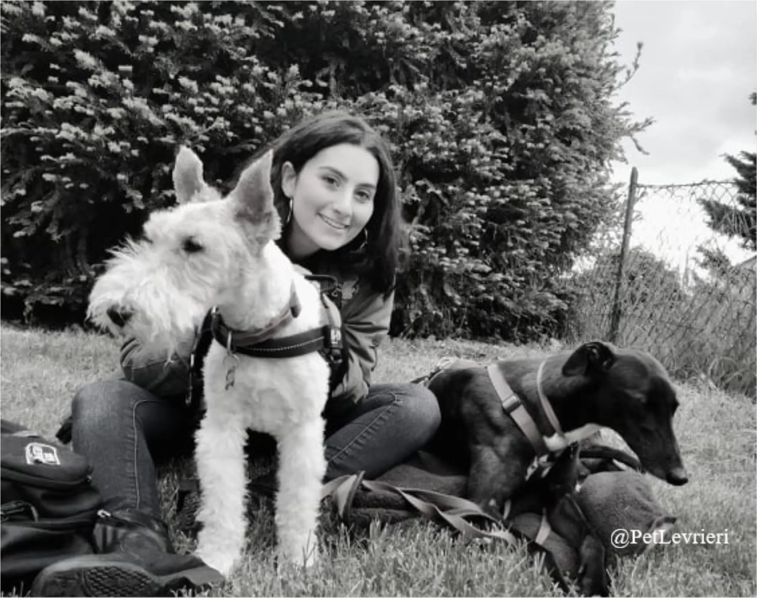 ANNA9New Phototastic Collage scaled