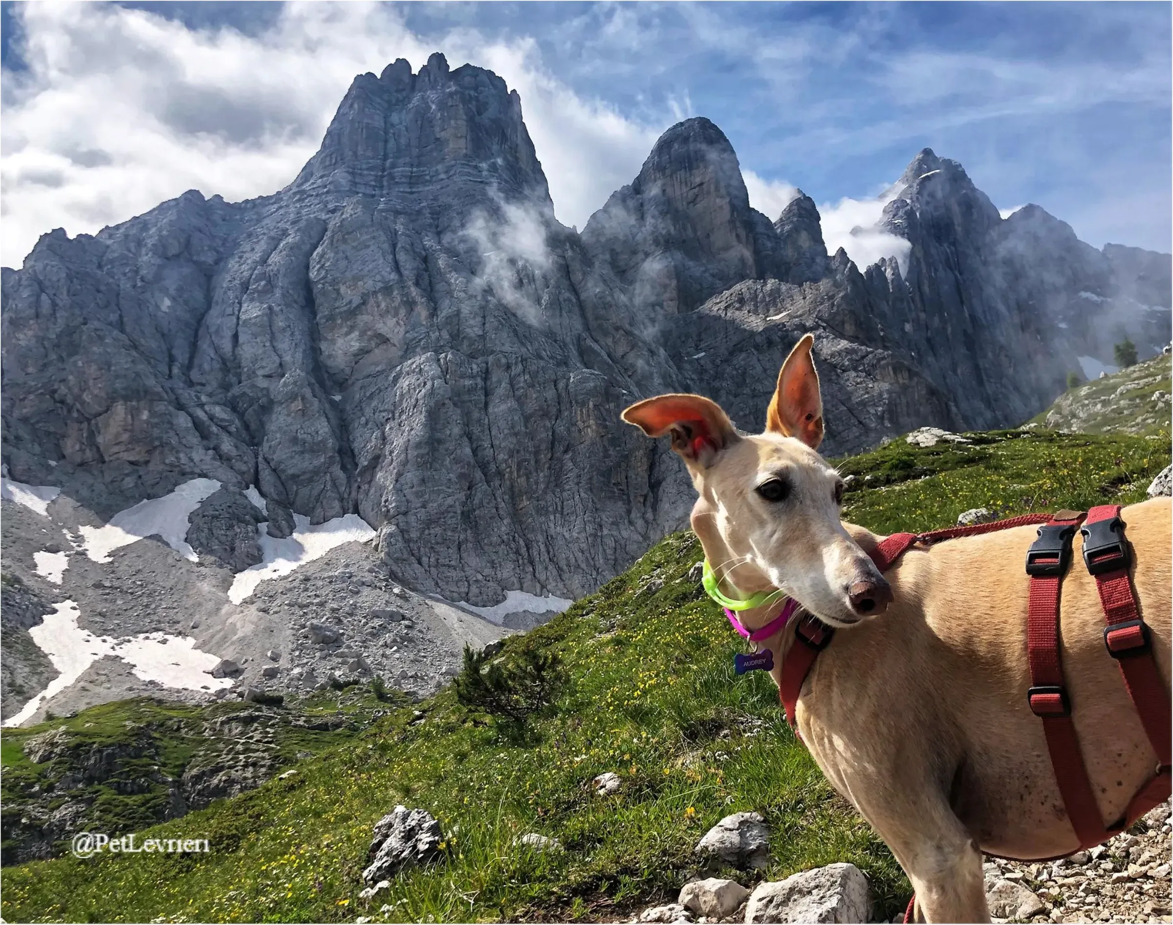 ANTO1New Phototastic Collage