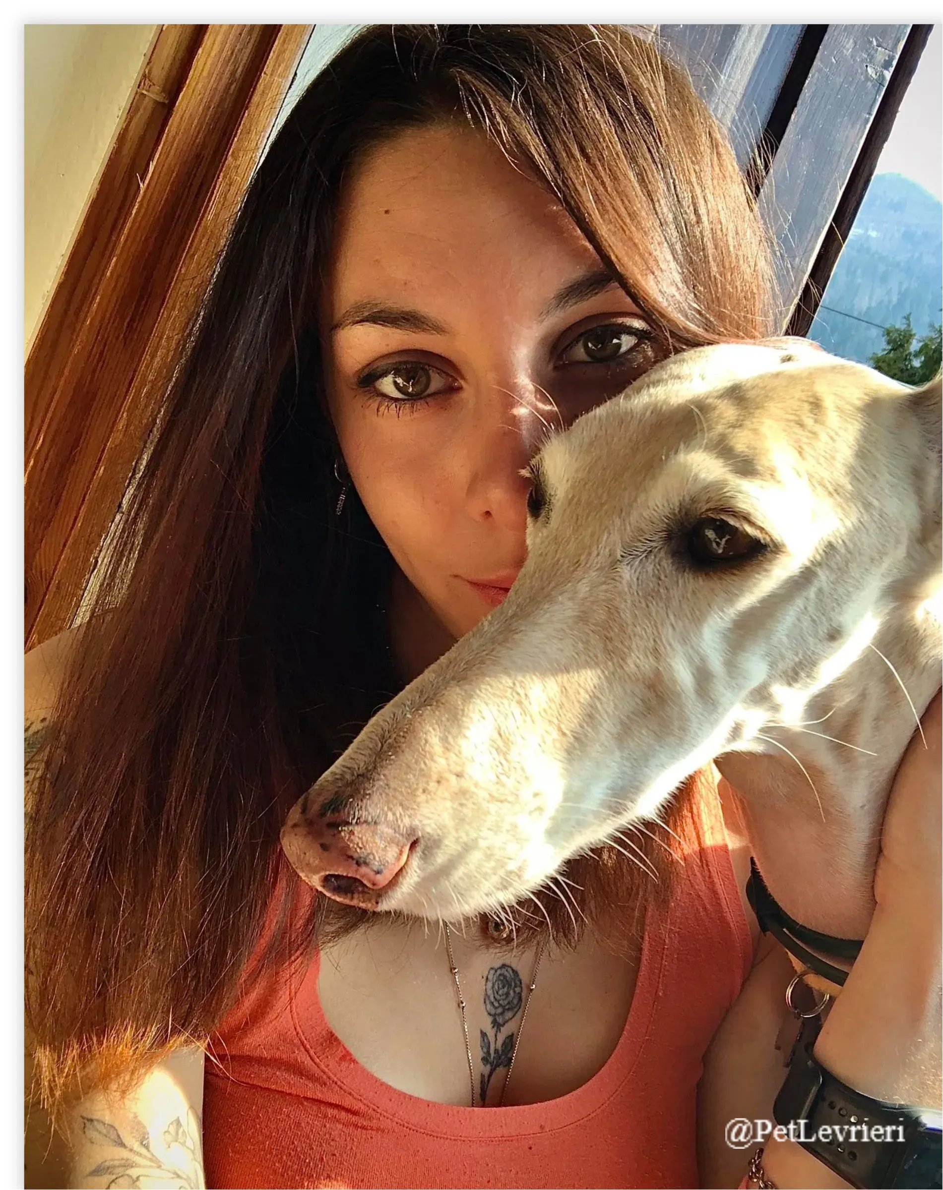 ANTO3New Phototastic Collage 1