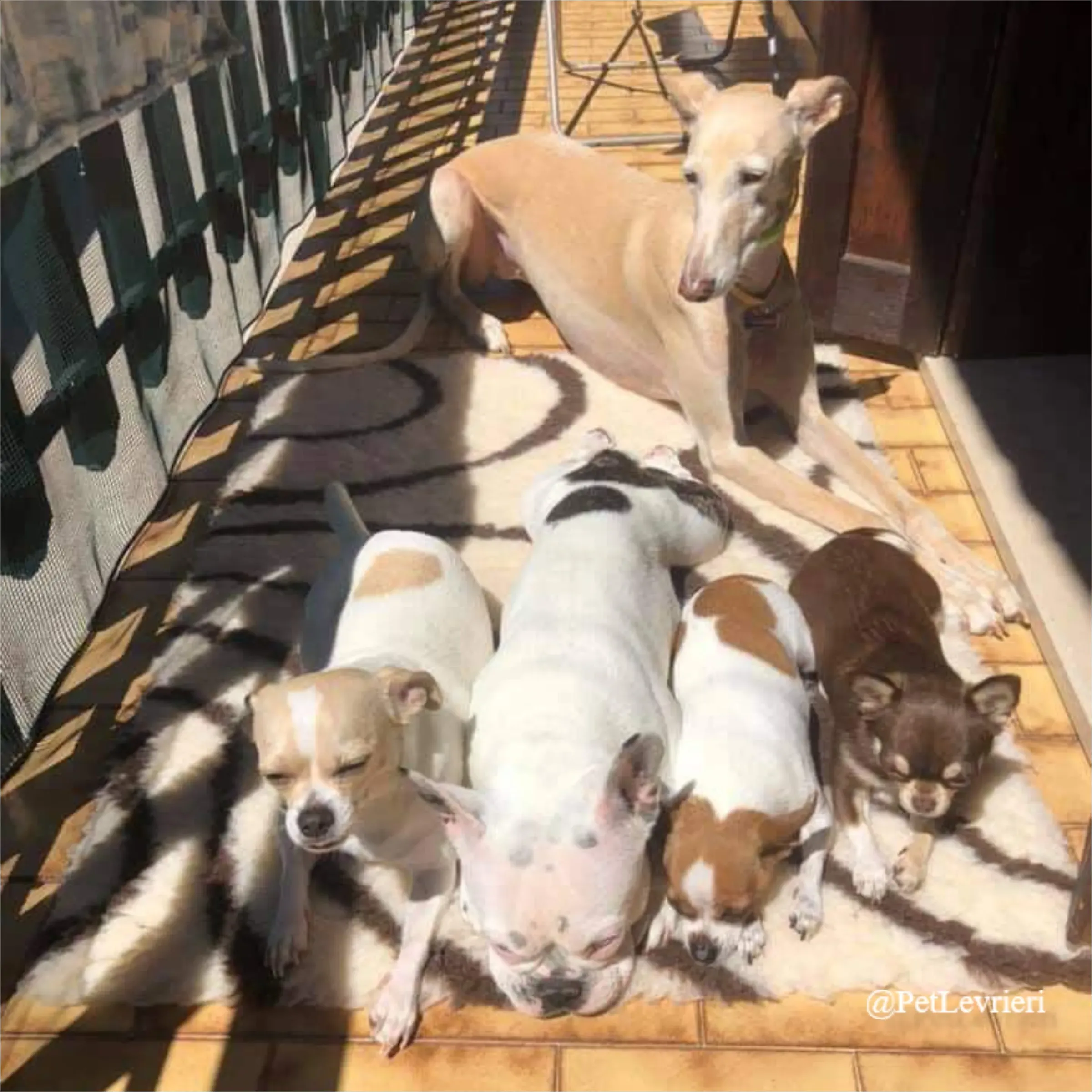 ANTO6New Phototastic Collage