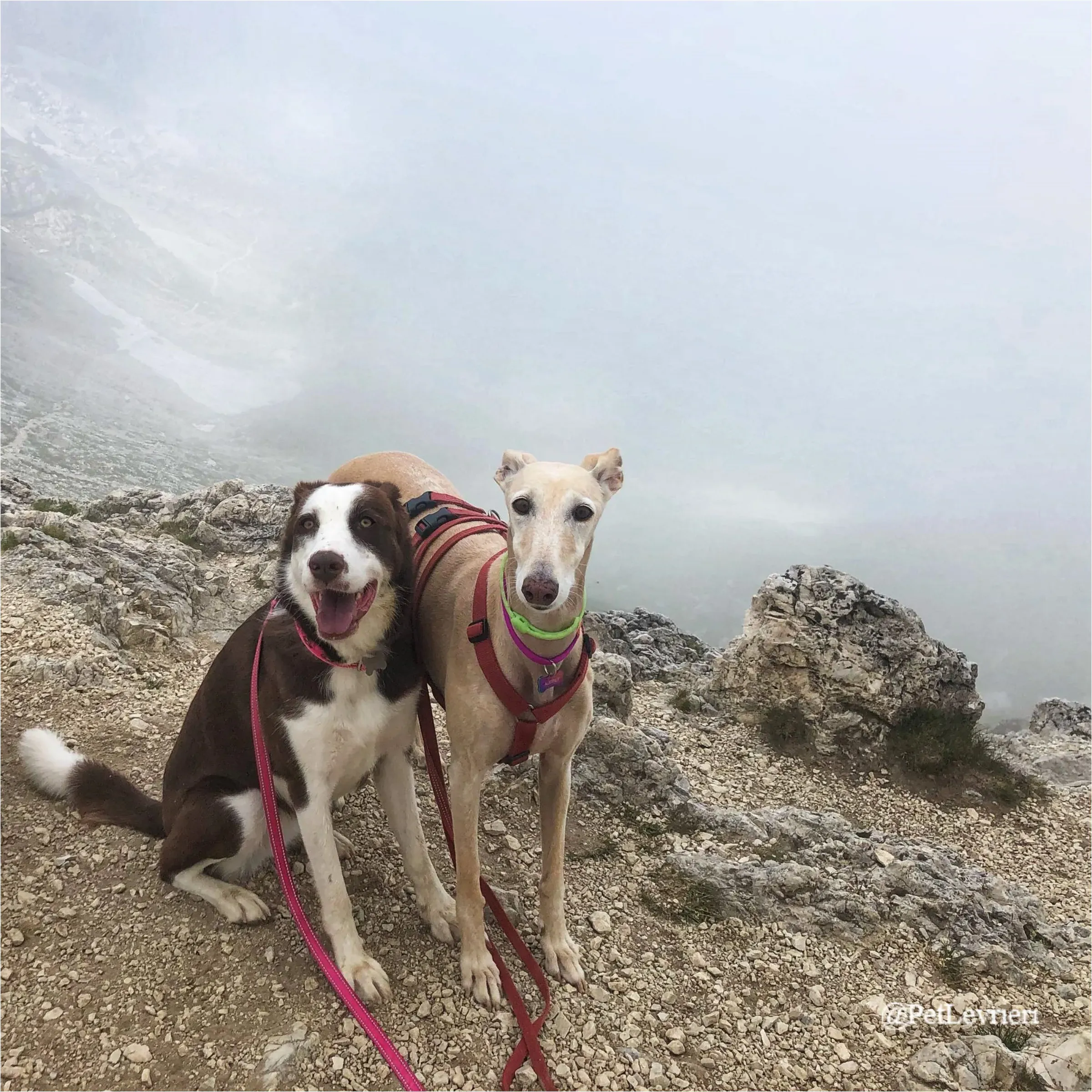 ANTO7New Phototastic Collage