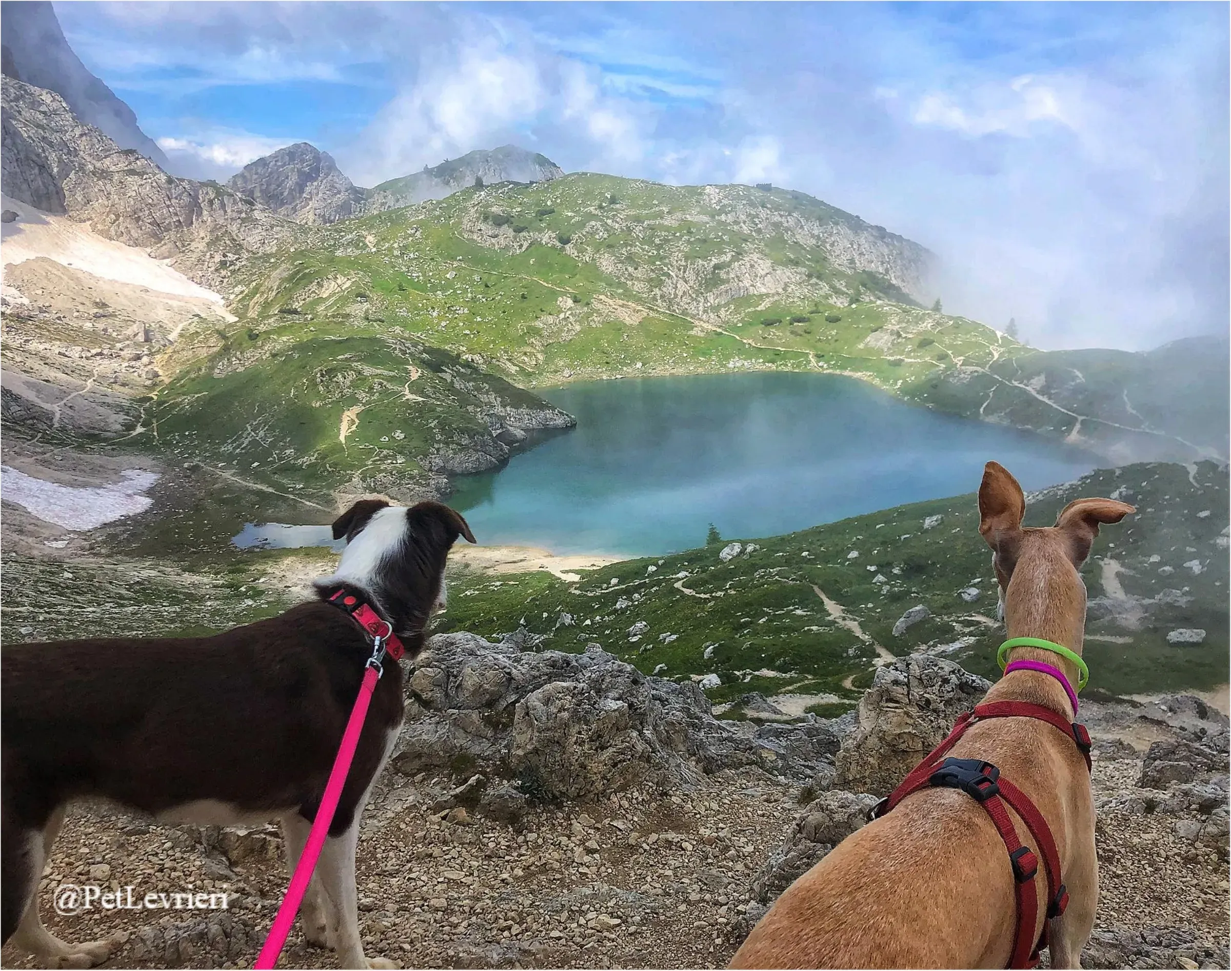 ANTO8New Phototastic Collage