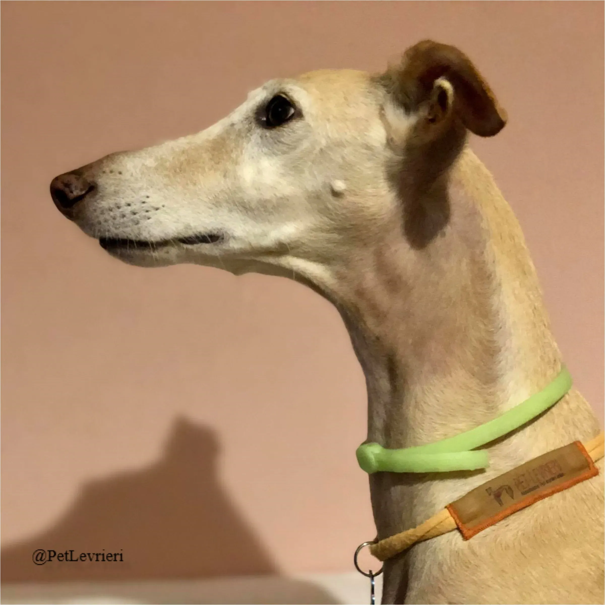 ANTO9New Phototastic Collage