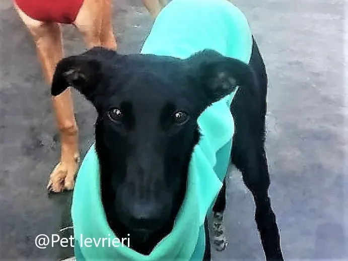 AXELLE CON VILMA 2 1