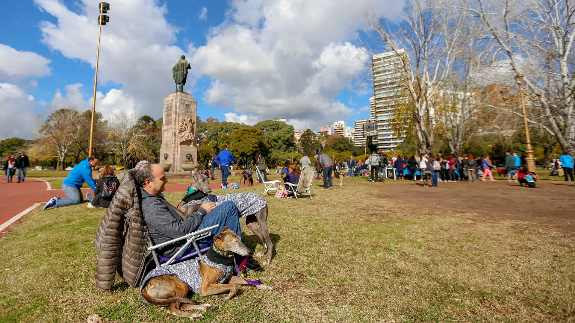 Adopcion Galgos 08 07 18 11