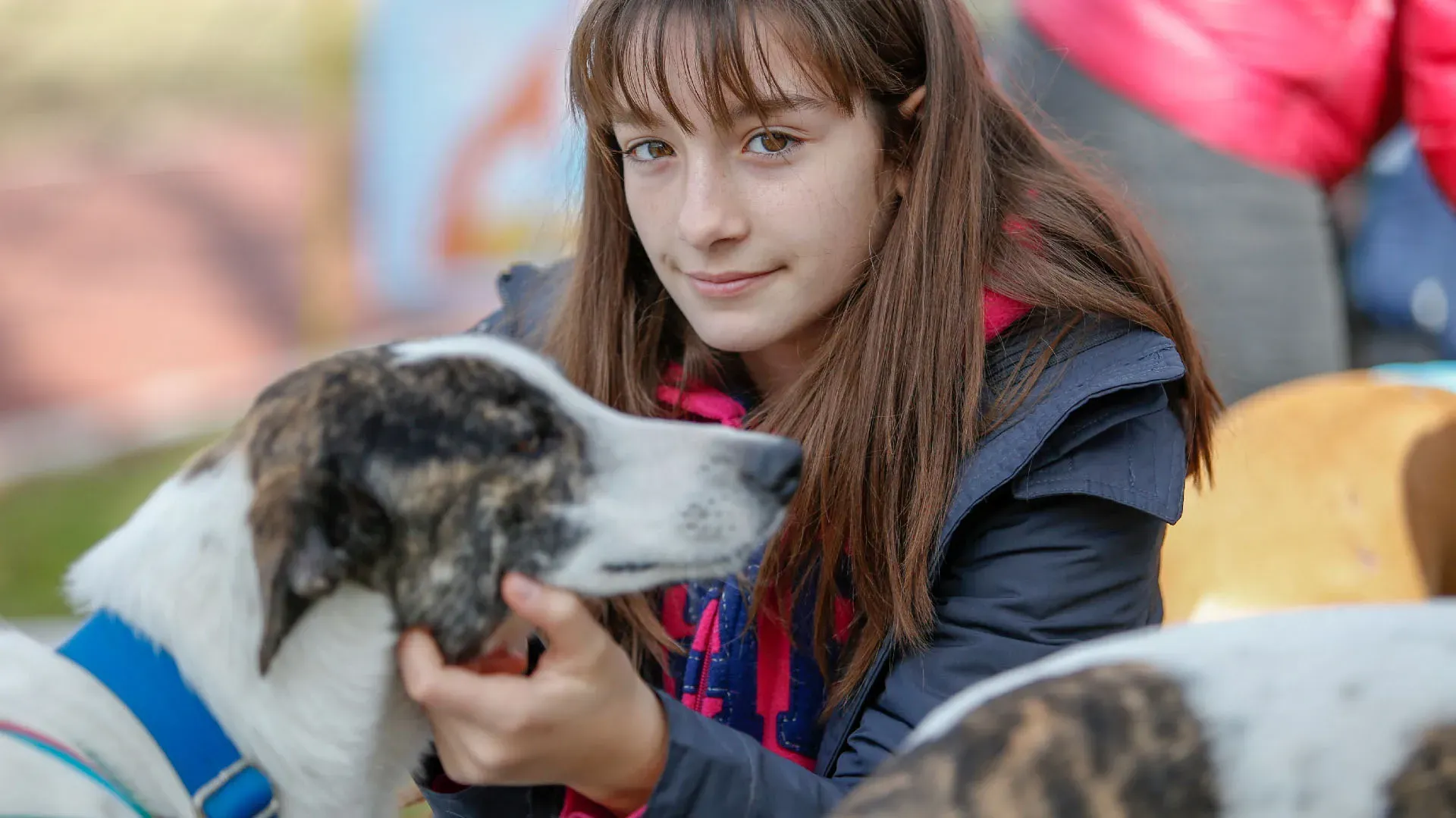 Adopcion Galgos 08 07 18 13