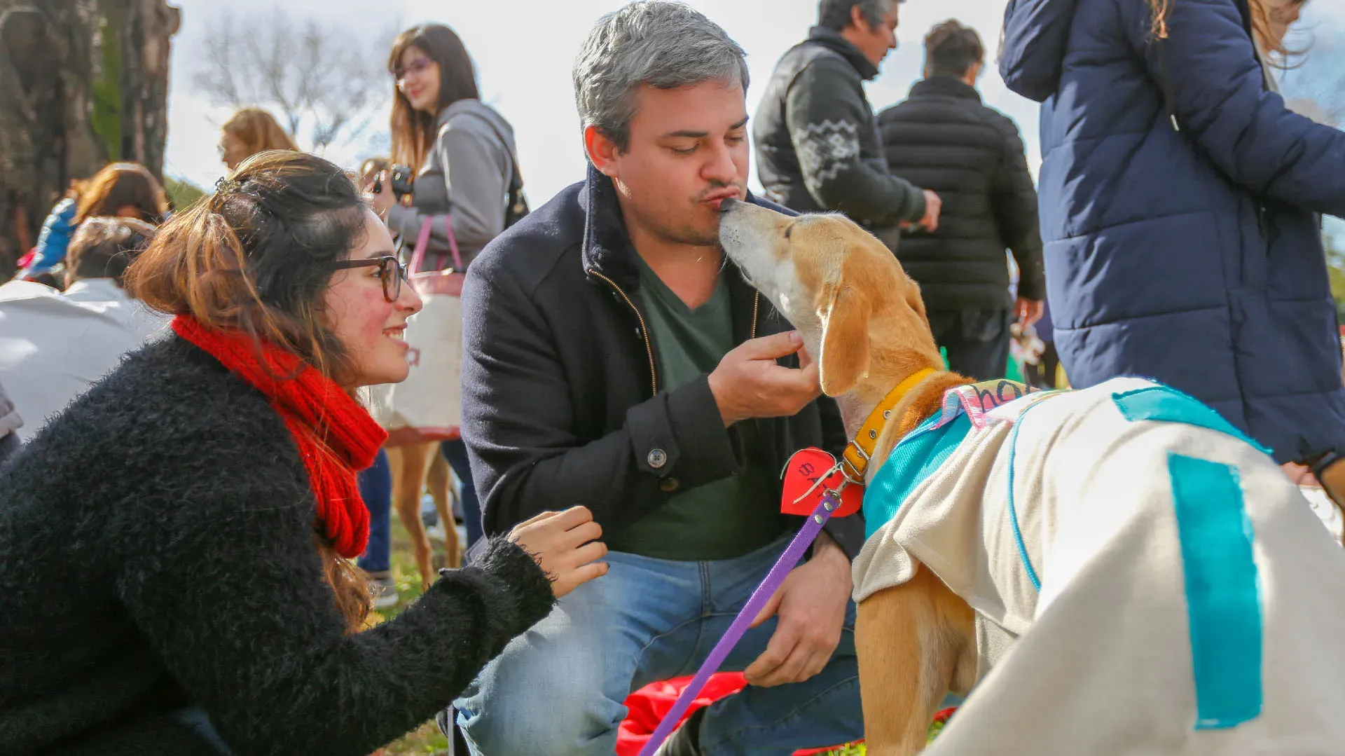 Adopcion Galgos 08 07 18 17