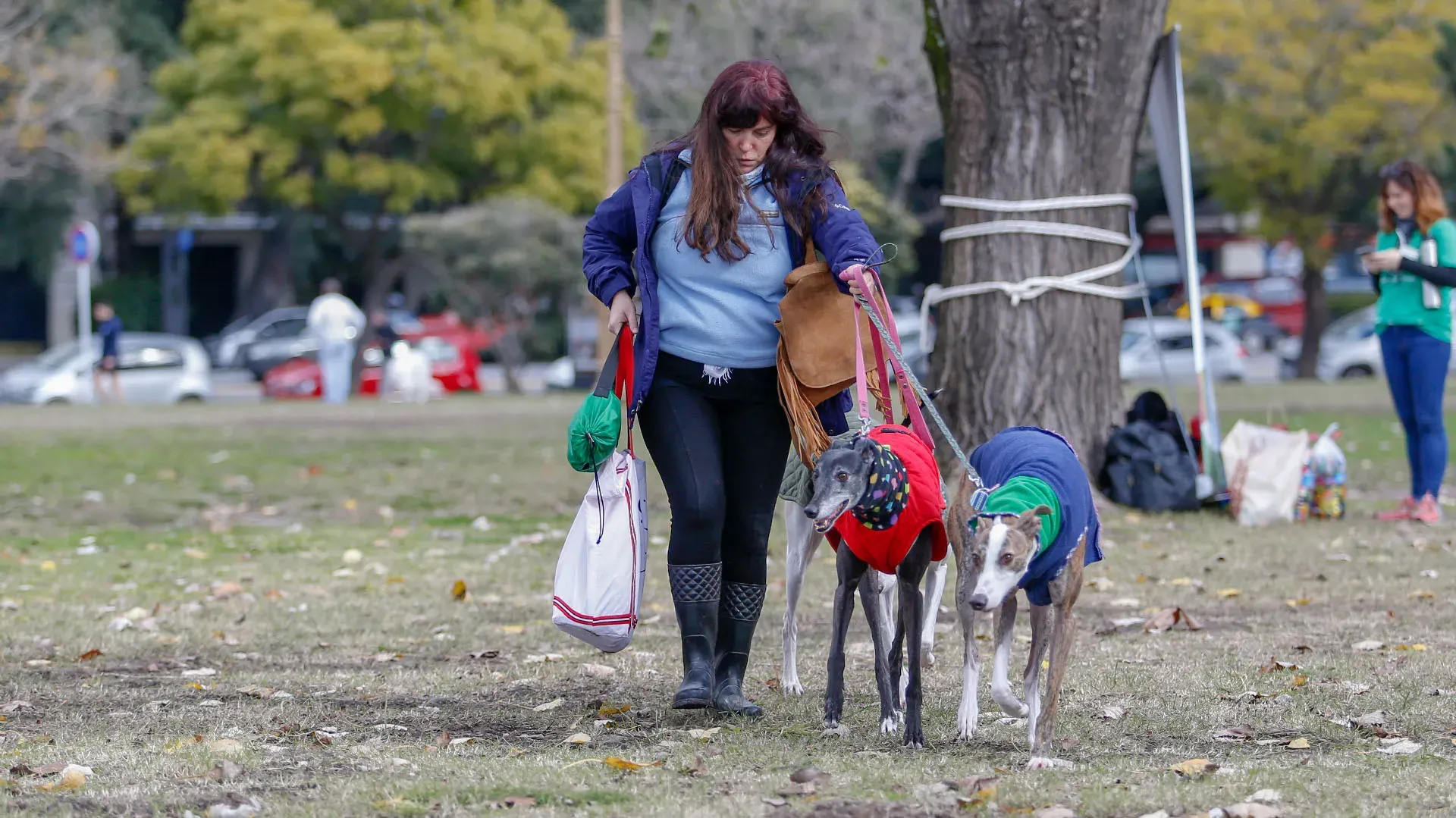 Adopcion Galgos 08 07 18 18