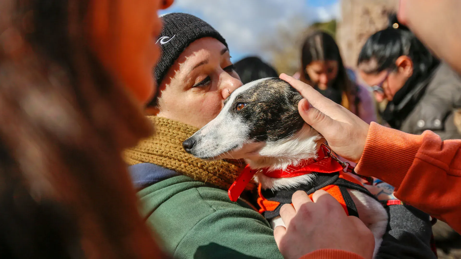Adopcion Galgos 08 07 18 36