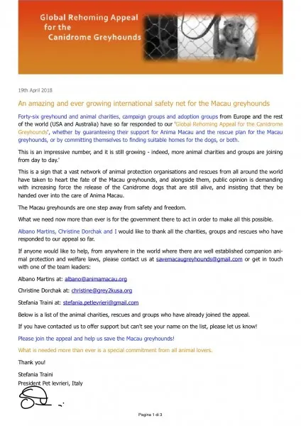 An amazing and ever growing international safety net for the Macau greyhounds april 2