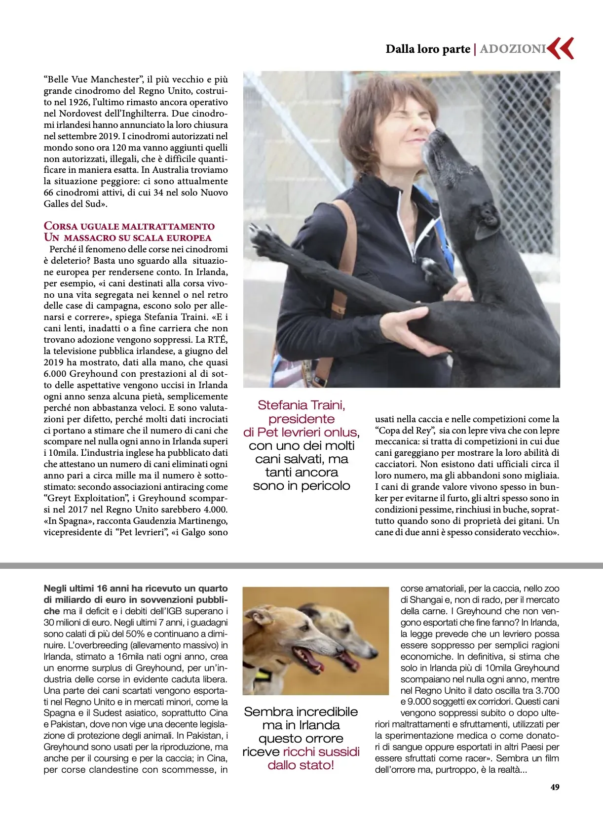 Argos Aprile 2020  Pet levrieri 2