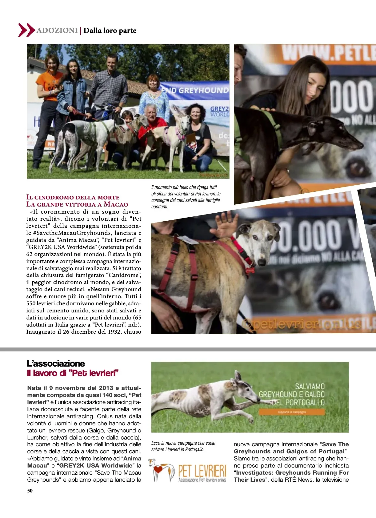 Argos Aprile 2020  Pet levrieri 3