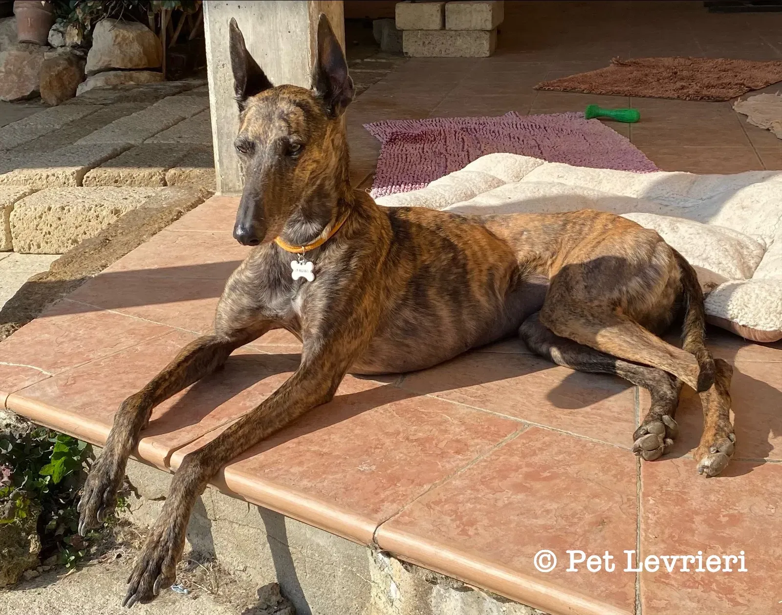 B1834820 9075 4A0E BCDF C6E9FF26424E