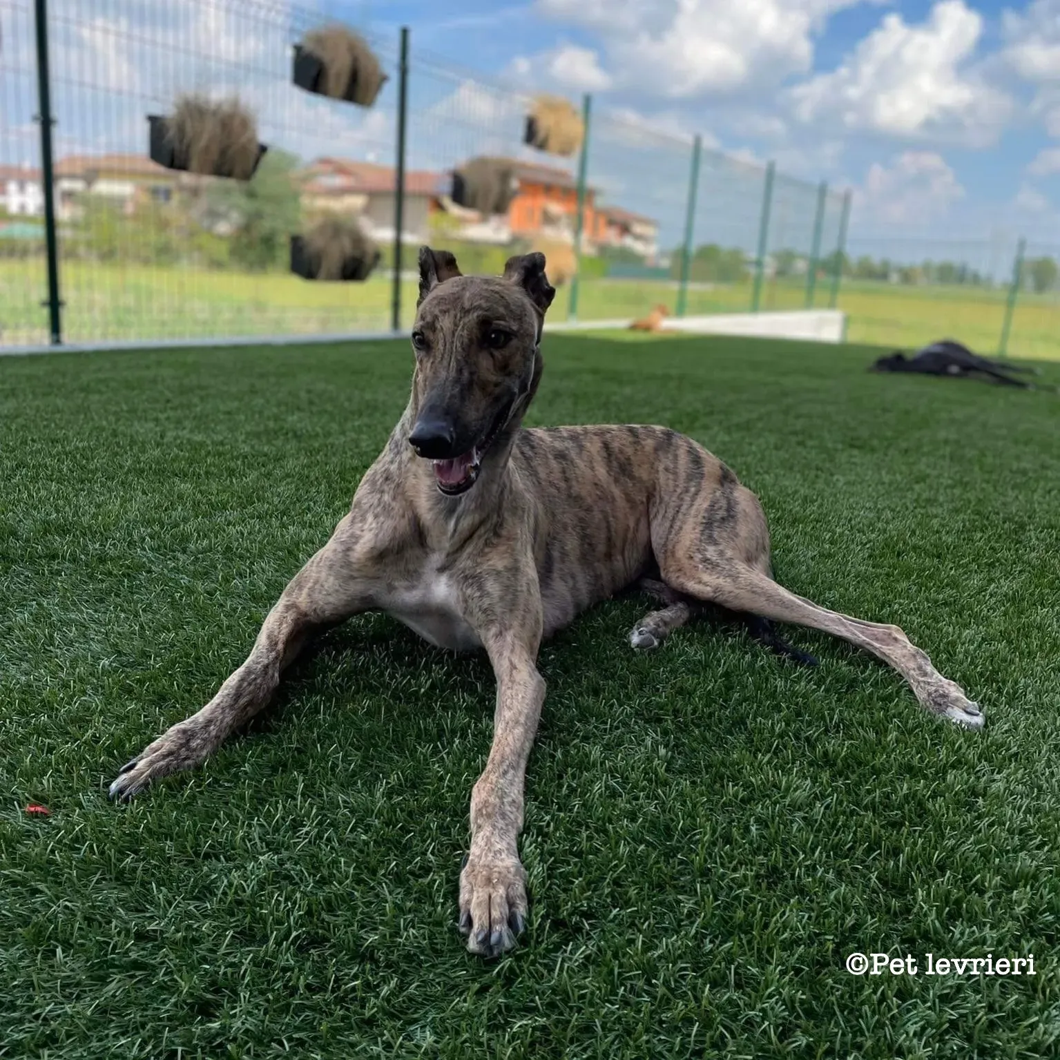 B24BCF20 6497 4B62 83A6 E45365F539CF