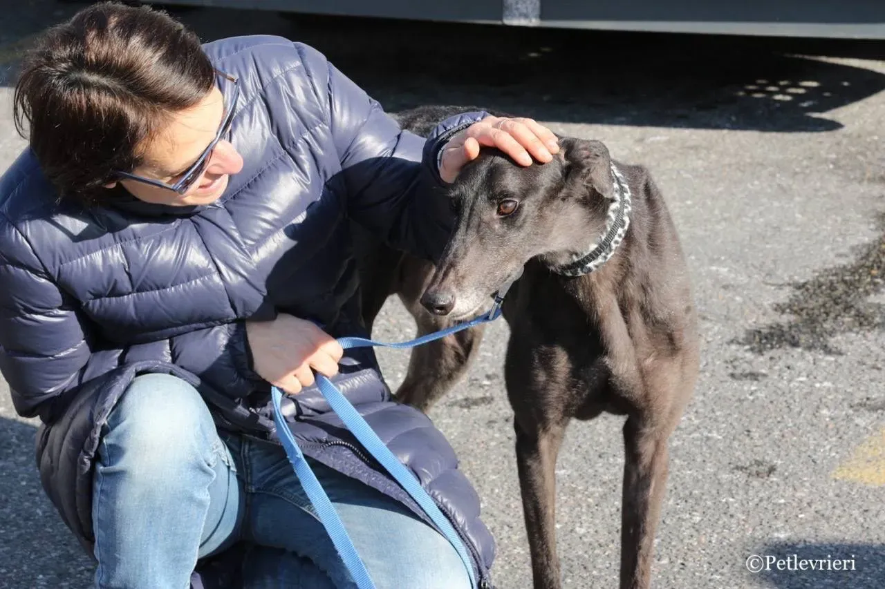 B2DAB3E4 F672 4F01 A534 A0EAA2157FFC