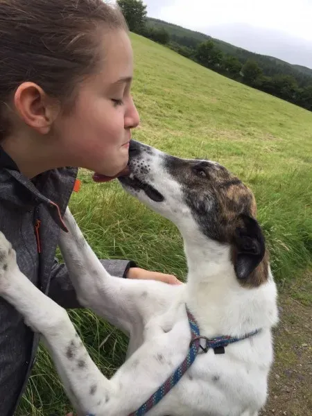 B40E8917 51AB 4053 8AA5 6A77BF42A592@bandablu