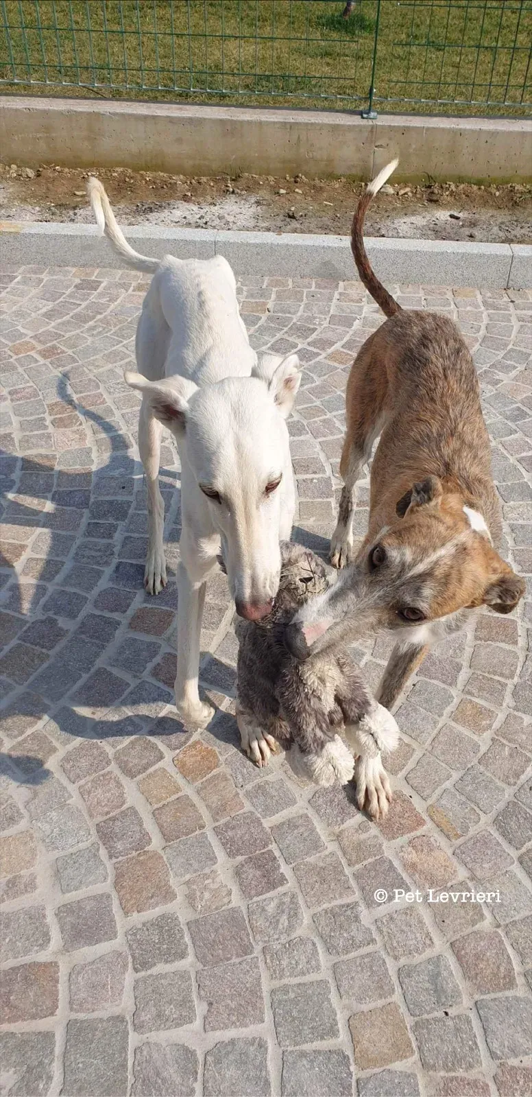 B4244F58 6E30 432F A333 5A97D4812345