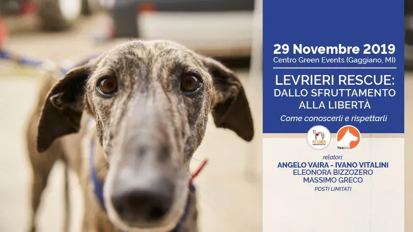 BANNER FB seminario LEVRIERI RESCUE 29 novembre 2019