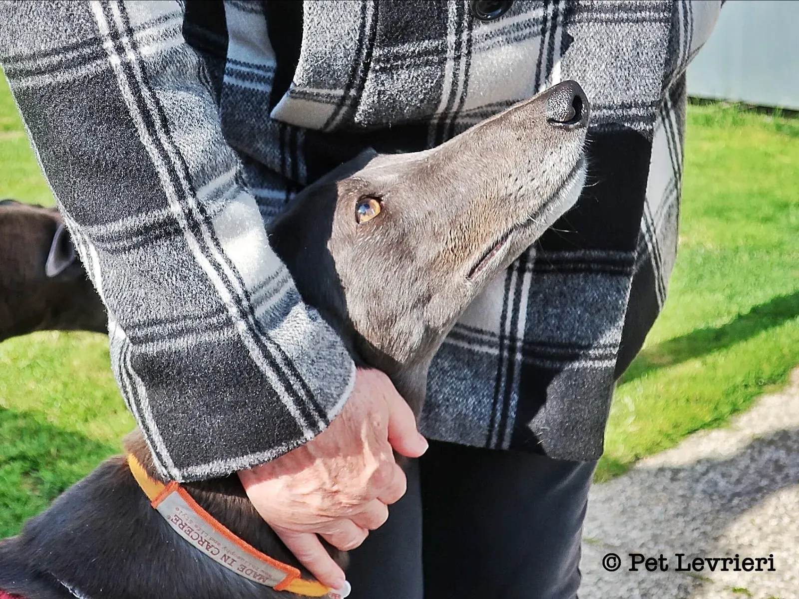 BE42F0C8 06E4 48B2 8096 0390B9F1FD4A