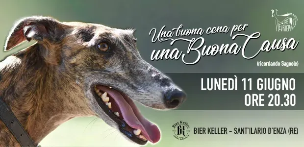 Bannere SITO evento sagoole