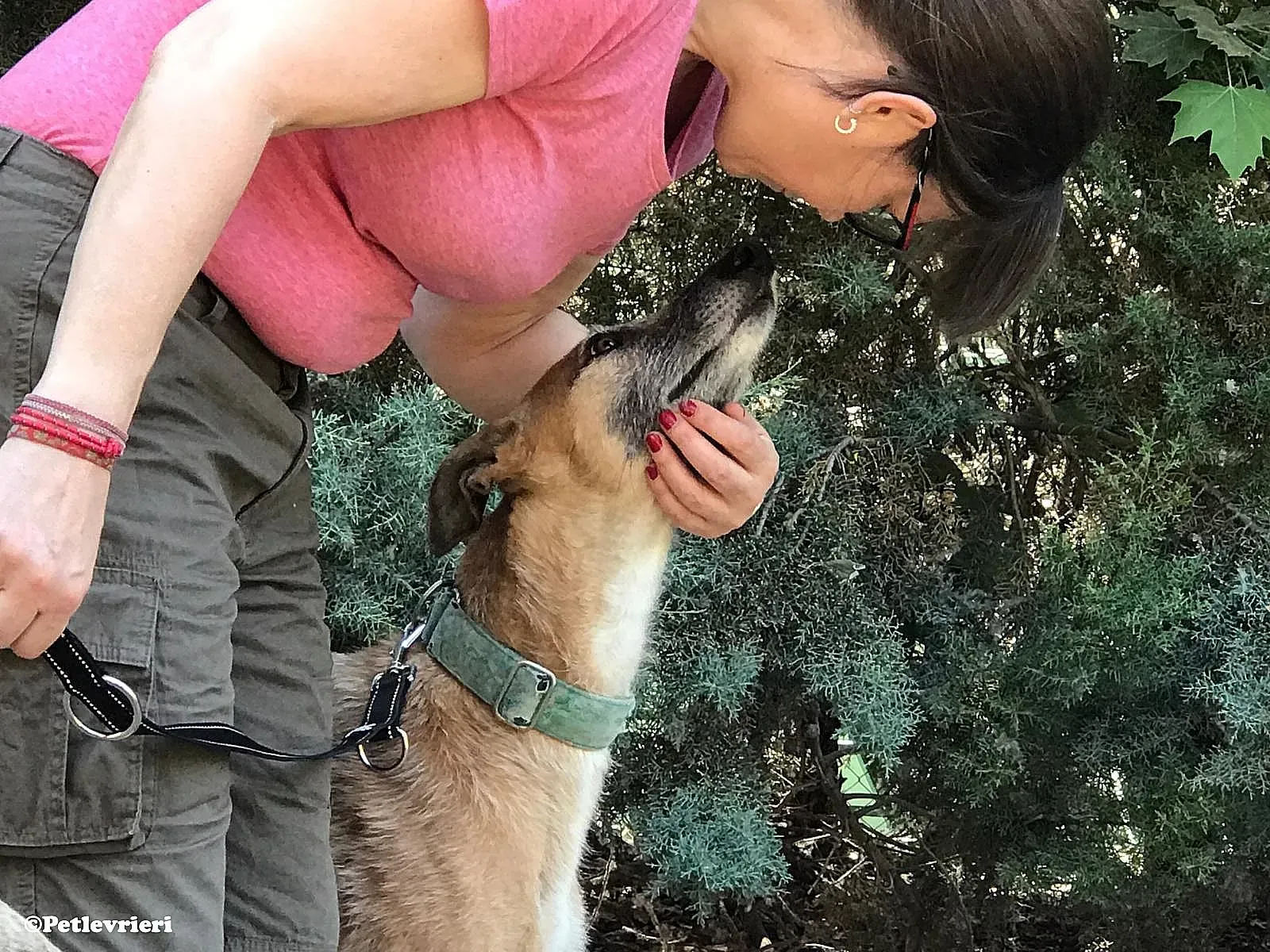 Barbie adozione levrieri galgo 03 1