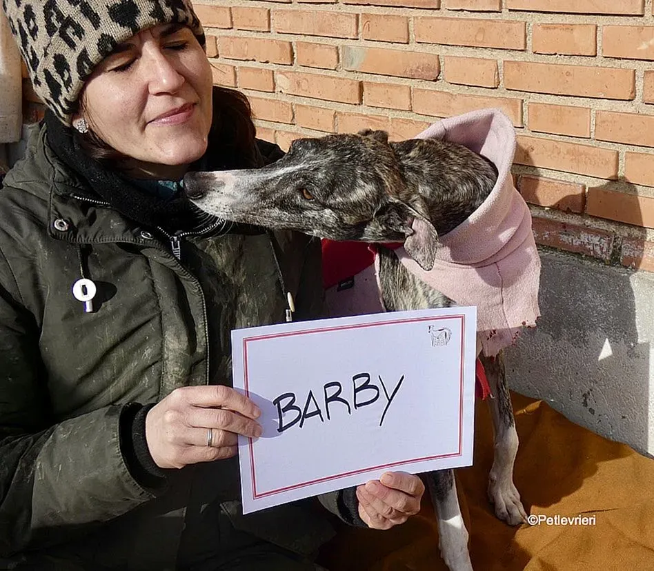 Barbie adozione levrieri galgo 14