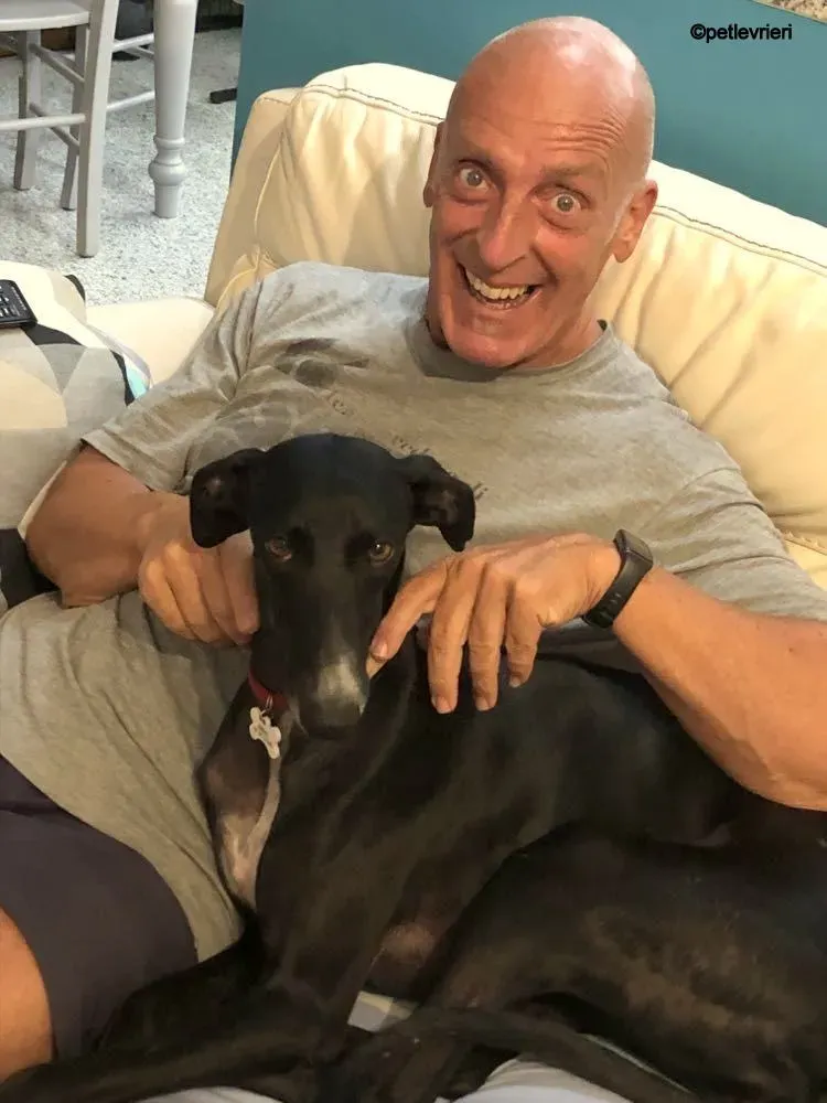 Baty galgo pet levrieri felici casa 10