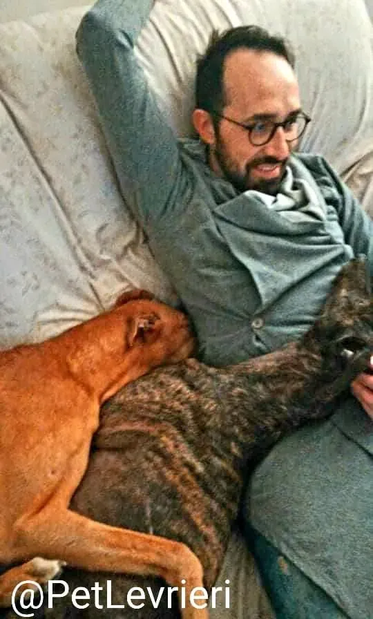 Bianchi adozione levrieri greyhound 20