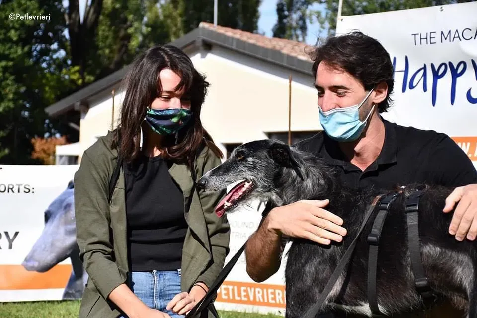 Black Glago Deerhound Adoption Day Levrieri Adozione 11