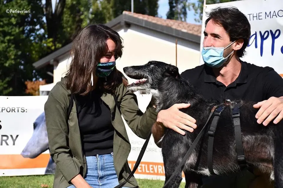 Black Glago Deerhound Adoption Day Levrieri Adozione 9