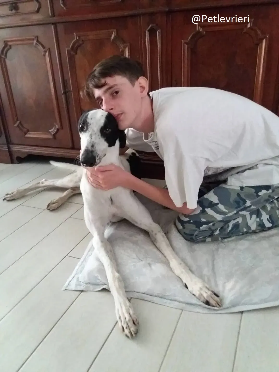 Bob petlevrieri adpzionelevreiri 10