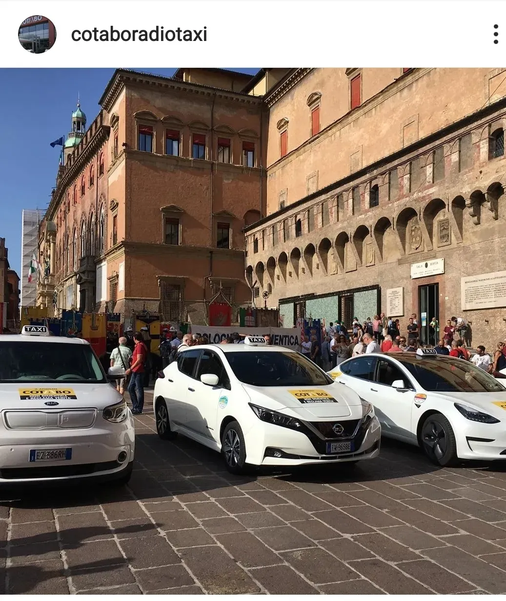 Bologna pet levrieri1