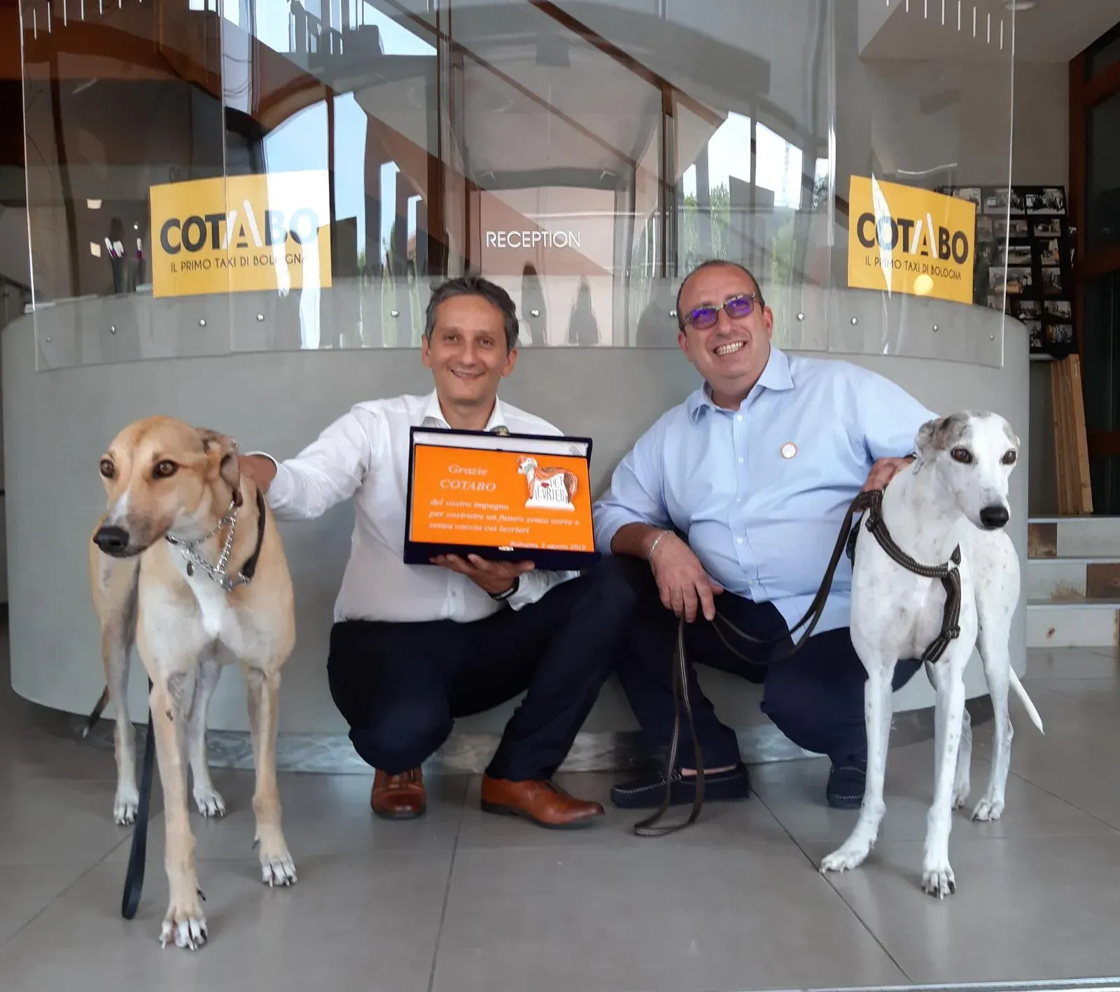 Bologna pet levrieri12