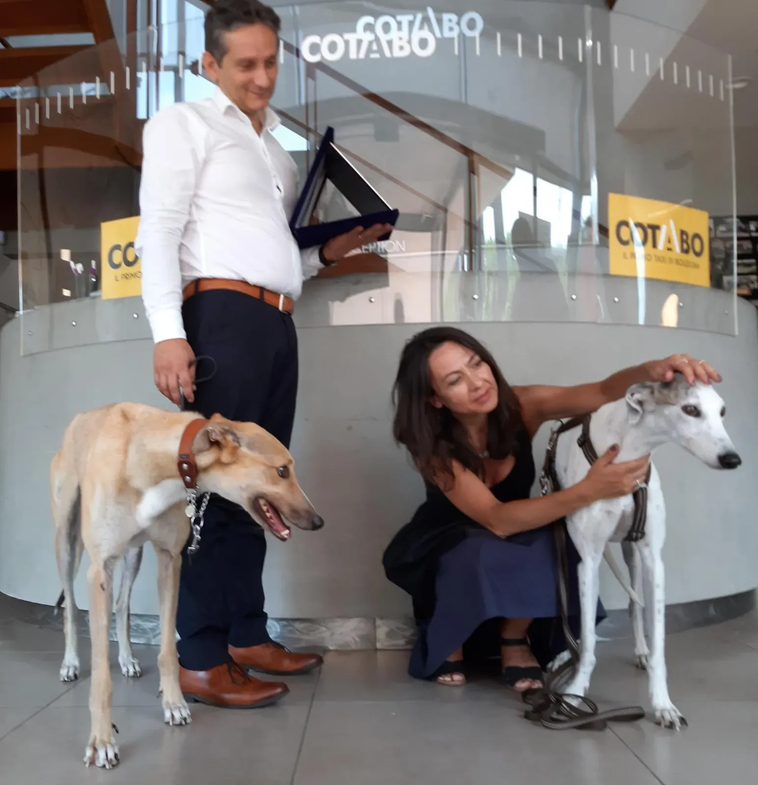 Bologna pet levrieri14