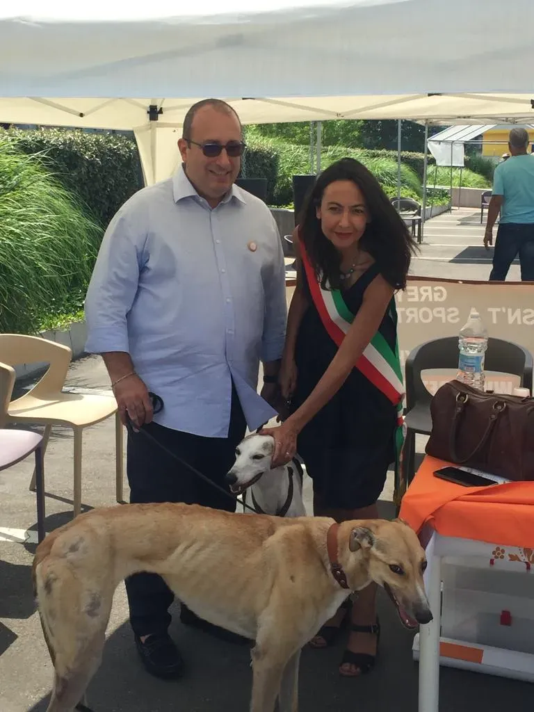 Bologna pet levrieri15