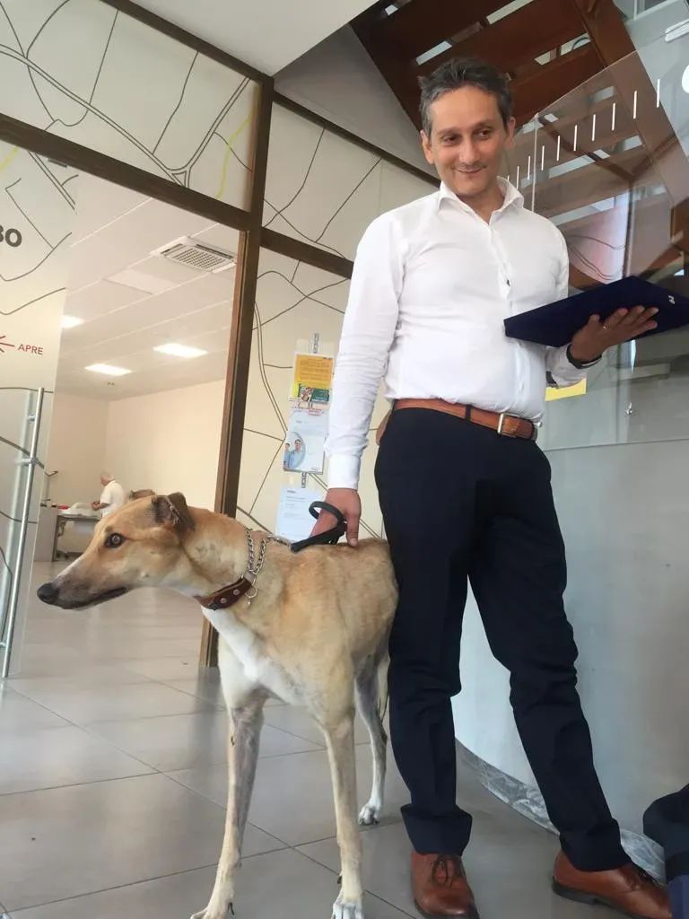 Bologna pet levrieri16