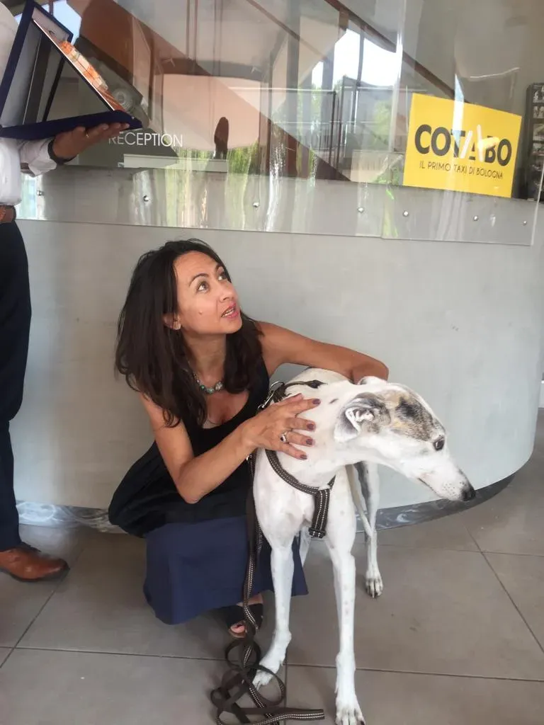 Bologna pet levrieri17