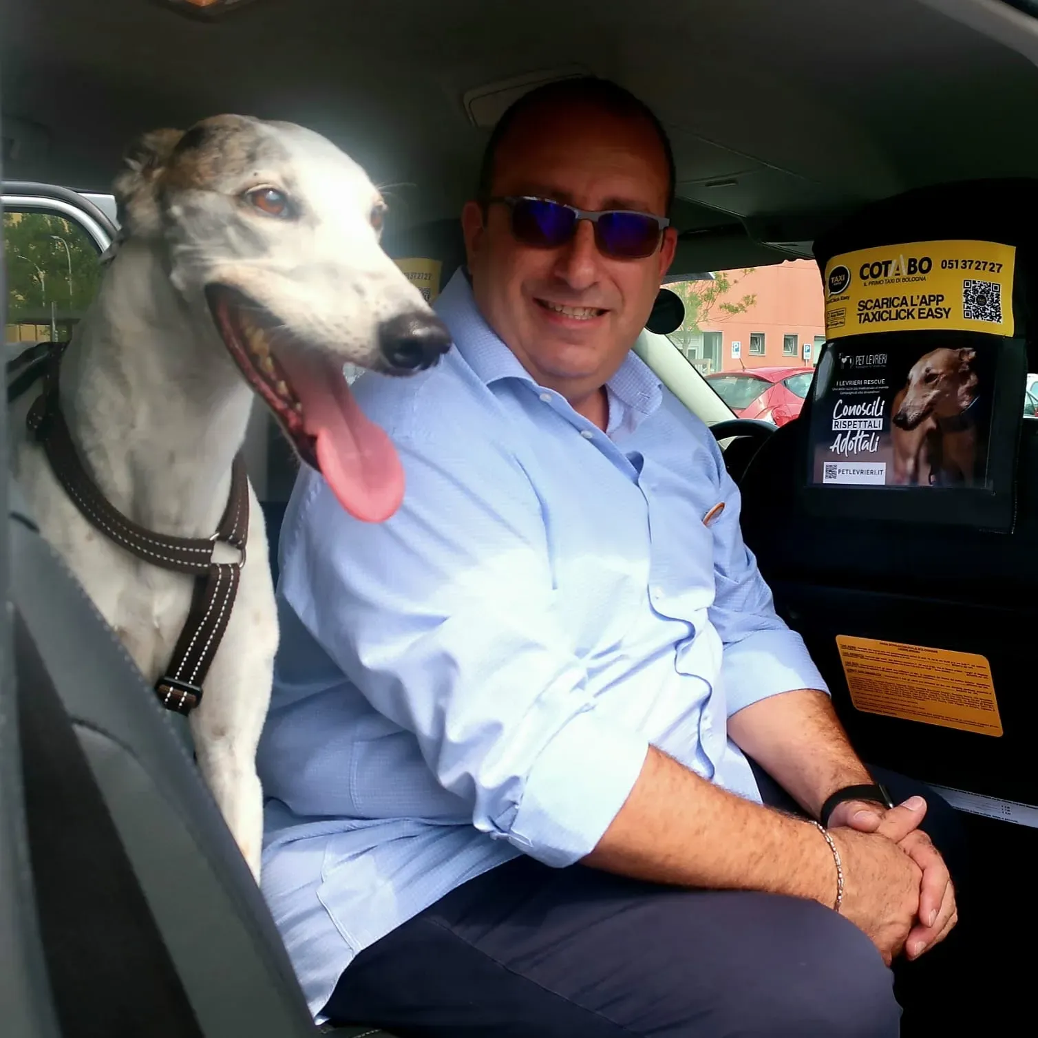 Bologna pet levrieri18