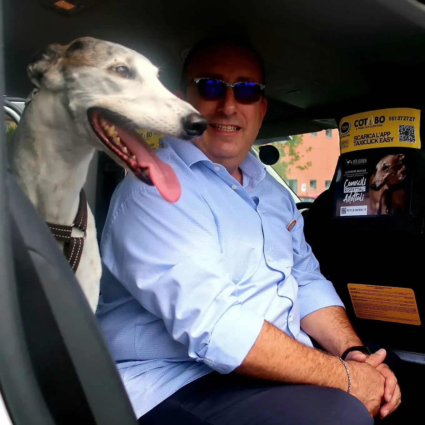 Bologna pet levrieri19