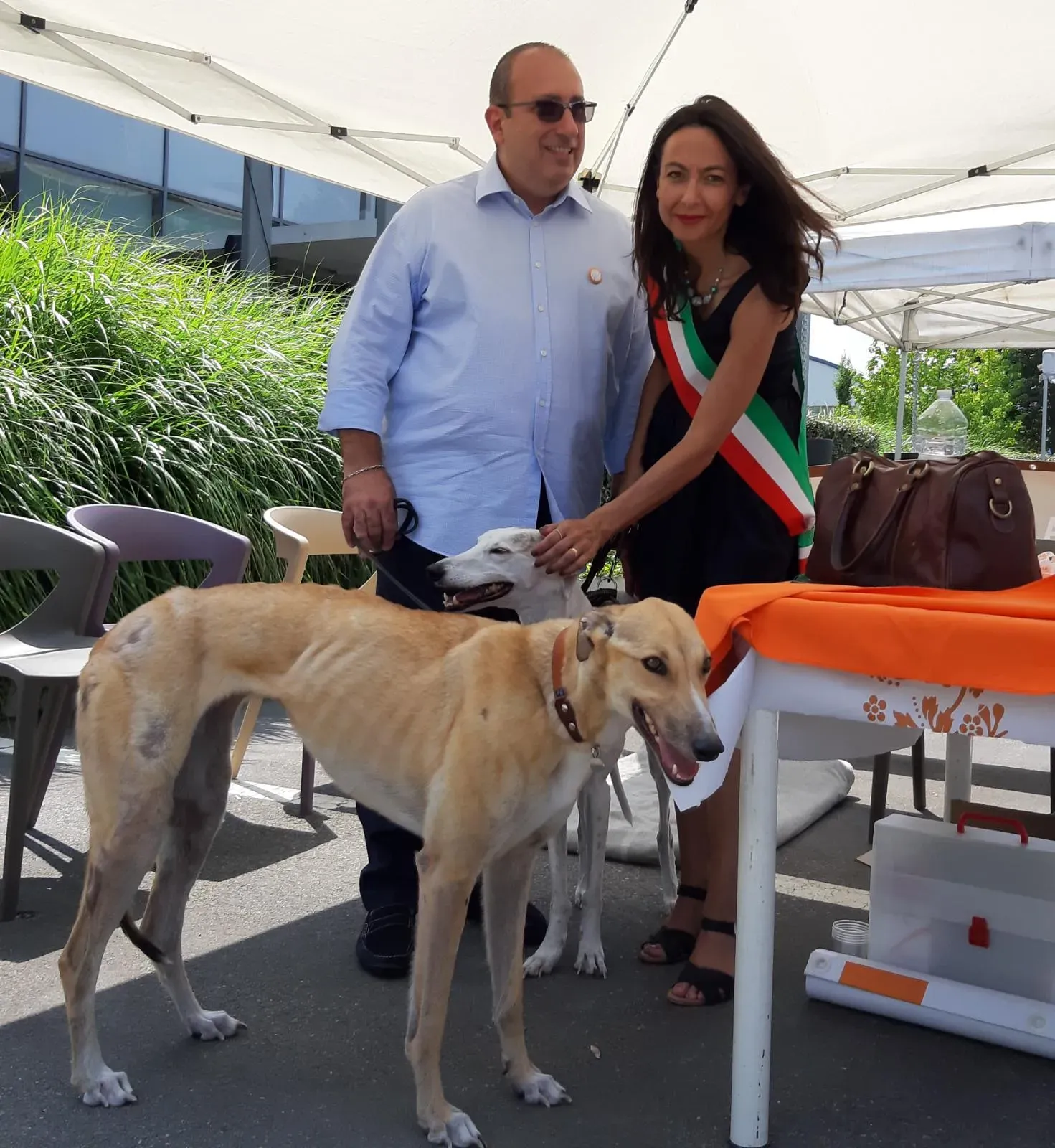 Bologna pet levrieri4