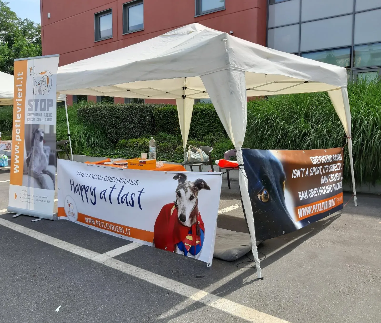 Bologna pet levrieri5