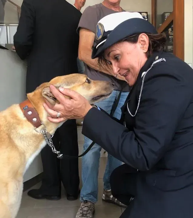 Bologna pet levrieri9