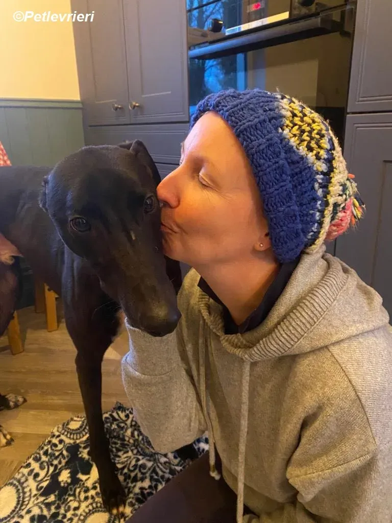 Braham adozione levrieri greyhound 20