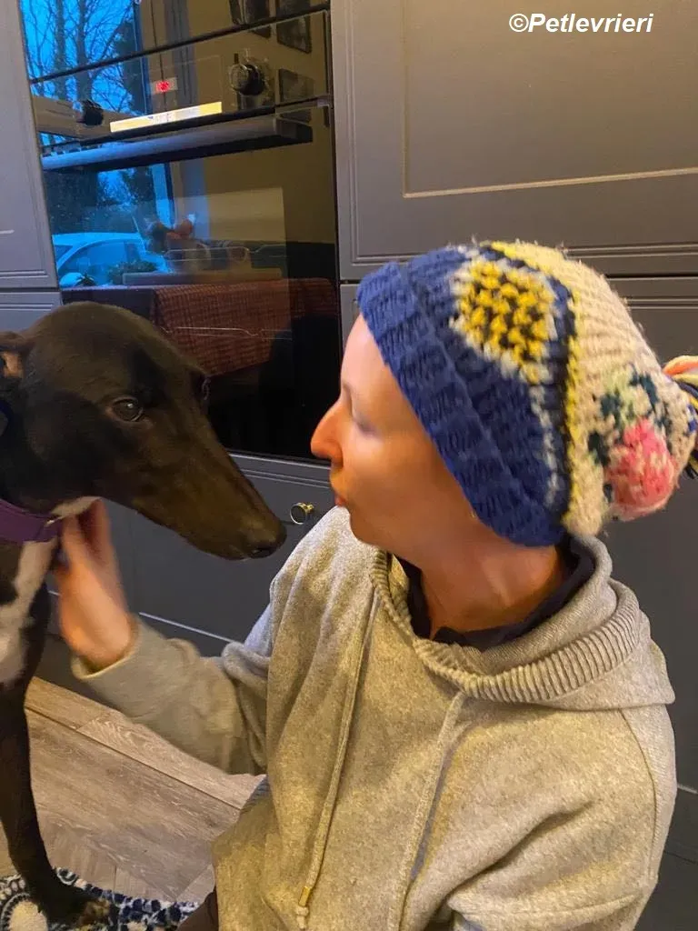 Braham adozione levrieri greyhound 25