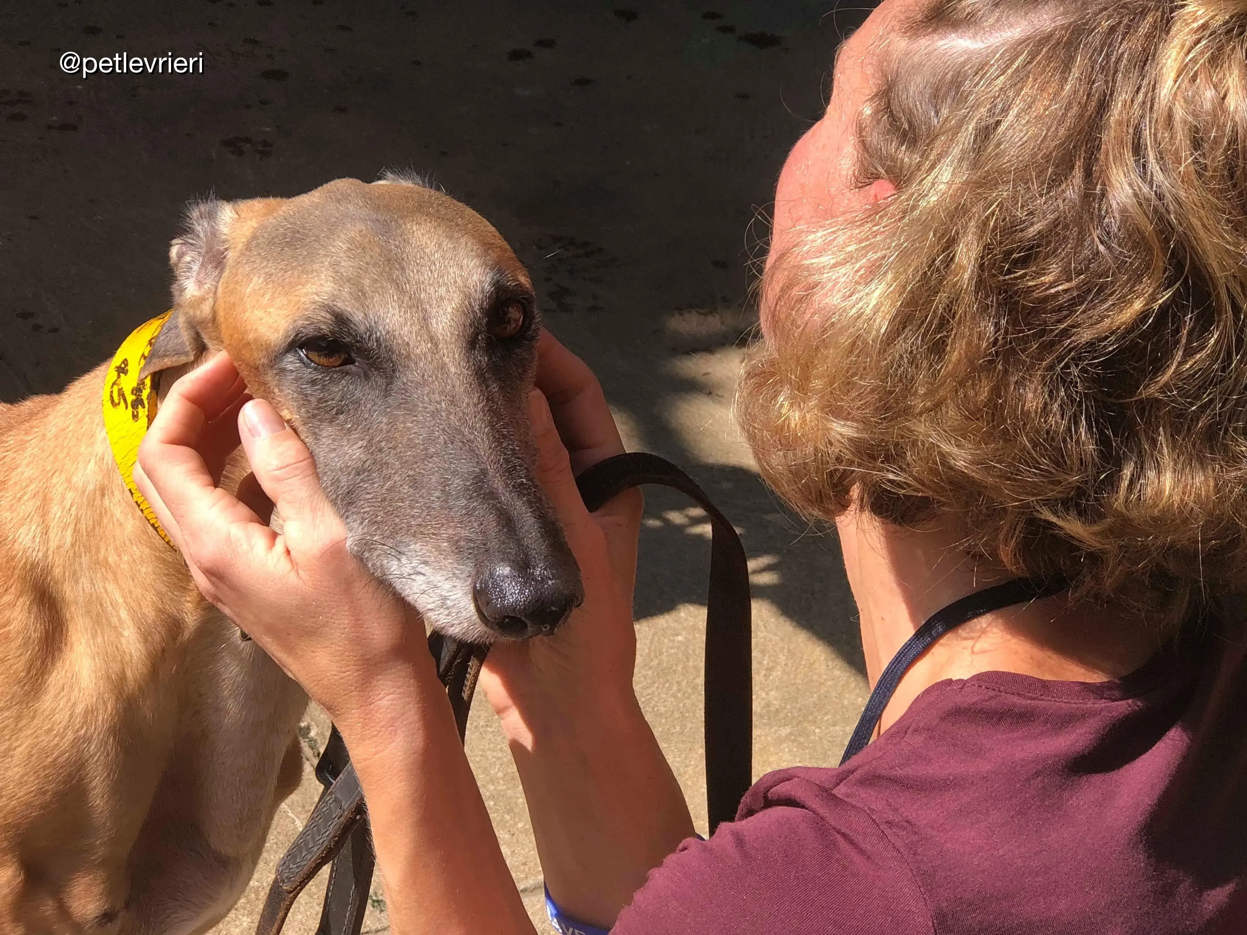 C06E9BEB 9CCE 45B5 8D94 AD7D5681B0F2