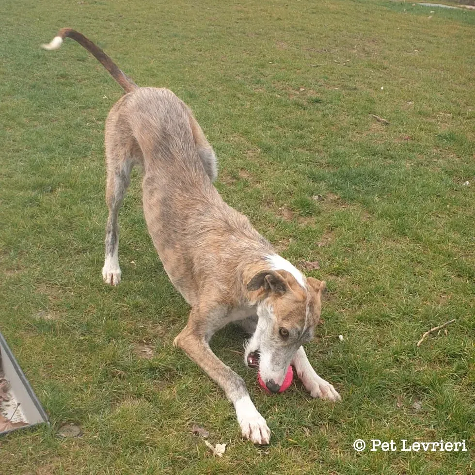 C0969BF3 F129 4390 82D2 21495DAAC310