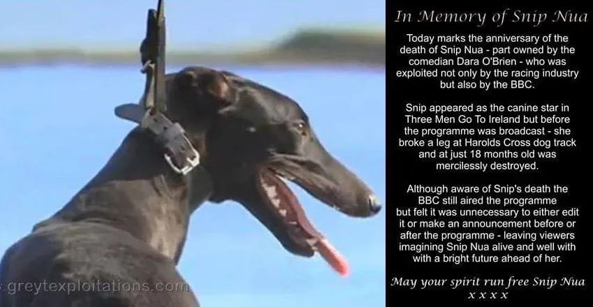 C0FD8619 4011 498B 8BA3 9A2D000E01CB